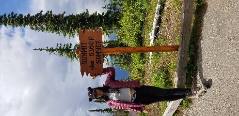 On the summit of mt revelstoke, 20m from the trailhead (m=meters, not miles)