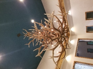 A chandelier made out of antlers. A "chantlerlier" if you will.