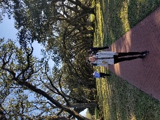 The walkway towards Oak Alley Plantation