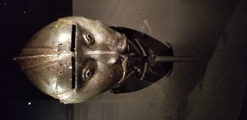 Decorated helmet from a suit of armor in the (free) royal armory museum in Stockholm