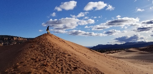 Josh thinking this is probably a bad idea?  In Pink Coral Sands State Park, Utah