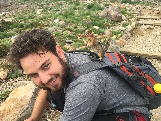 Chipmunk doing a thorough search for food in Mount Rainier NP