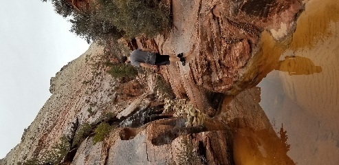 Pretty slot canyon in Zion National Park