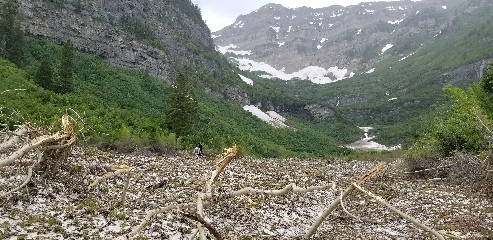 The remnants of a winter avalanche in the mountains above Provo UT