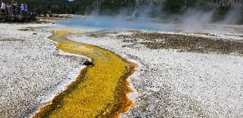 Water draining out of a hot spring in Yellowstone NP. The different colors are caused by different bacteria and algae that thrive at different temperatures - blue is hottest, then as the water runs out and cools you get teal, green, yellow, and finally a burnt orange