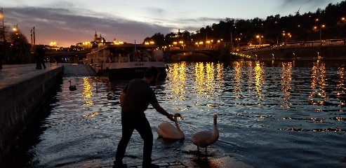 Josh petends to feed the swans in Prague. The swans refrained from pecking him to death when they discovered his deception - this time.