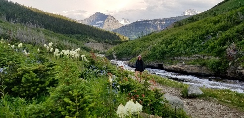 Pretty wildflowers in Glacier NP. The white, fluffy ones are known as Beargrass