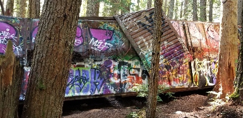 Abandoned train cars from a train wreck near Garibaldi Provincial park